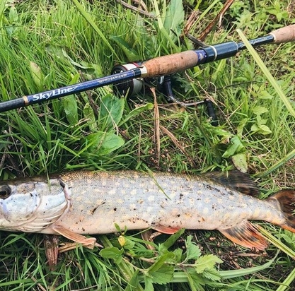 Спінінг Favorite Skyline TZ NEW Skytz-902ML 2.70m 6-18g Ex.Fast (1693.05.35)