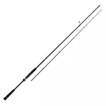Спінінг Daiwa Seabass Hunter X 106M-R 3.20m 10-50g (05800080)