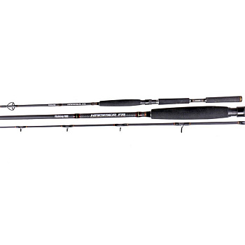 Спінінг Fishing Roi Hammer 2.4m 20-80g (615-208-240)