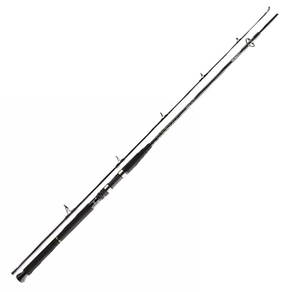 Спінінг Daiwa BG Boat 2.40m 150-400g (11906-246)