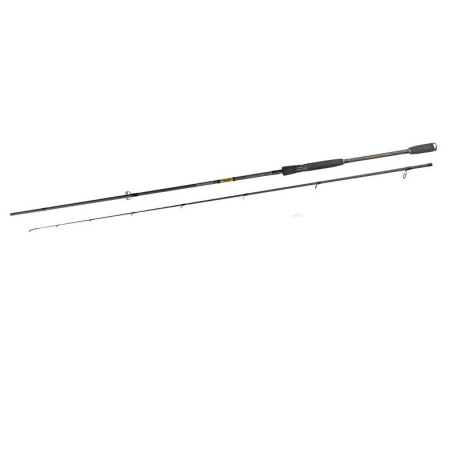 Спінінг Fishing Roi Bastion 2.40m 7-32g (608-802-732)