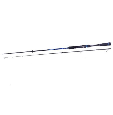 Спінінг Fishing Roi Sierra 1.98m 14-42g (615-14-198)