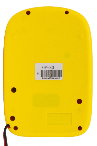 Електричний насоc Parsun (Genovo) GP-80